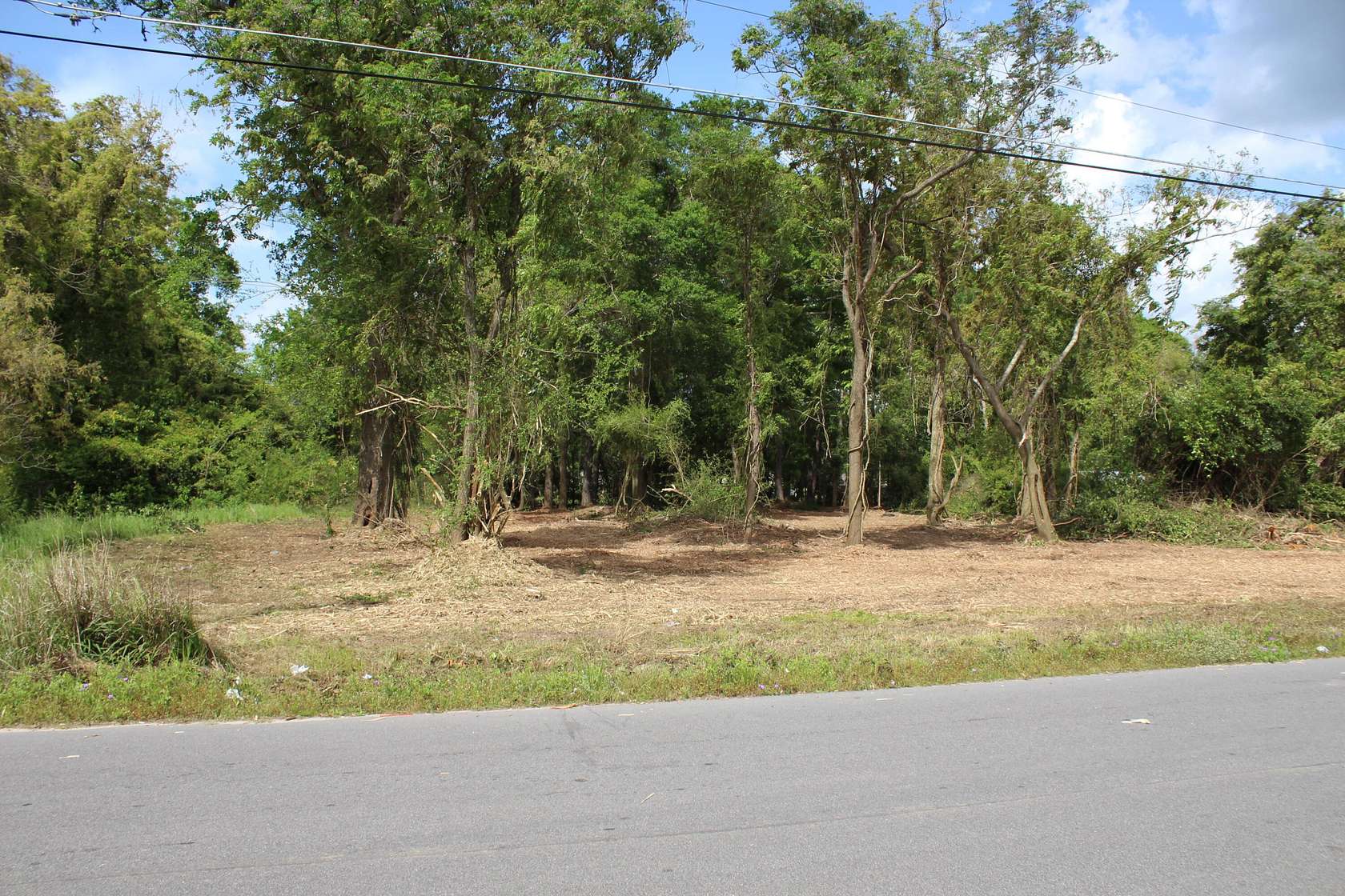 2 Acres of Residential Land for Sale in Bamberg, South Carolina