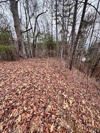 2.4 Acres of Land for Sale in Almond, North Carolina