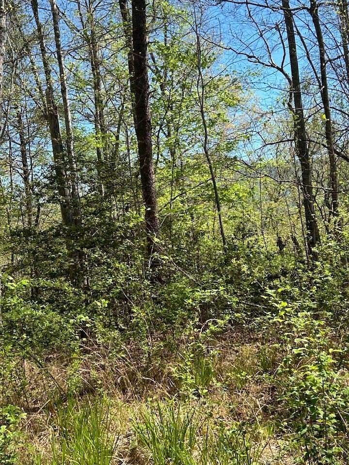 1.57 Acres of Land for Sale in Whittier, North Carolina