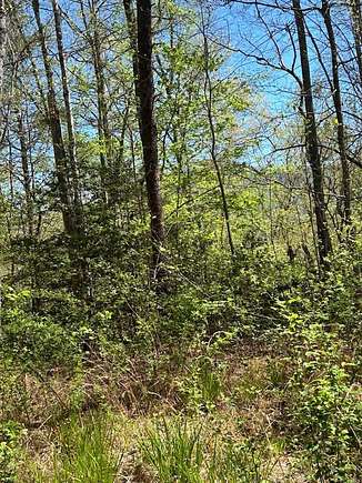 1.6 Acres of Land for Sale in Whittier, North Carolina
