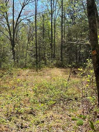 1.57 Acres of Land for Sale in Whittier, North Carolina