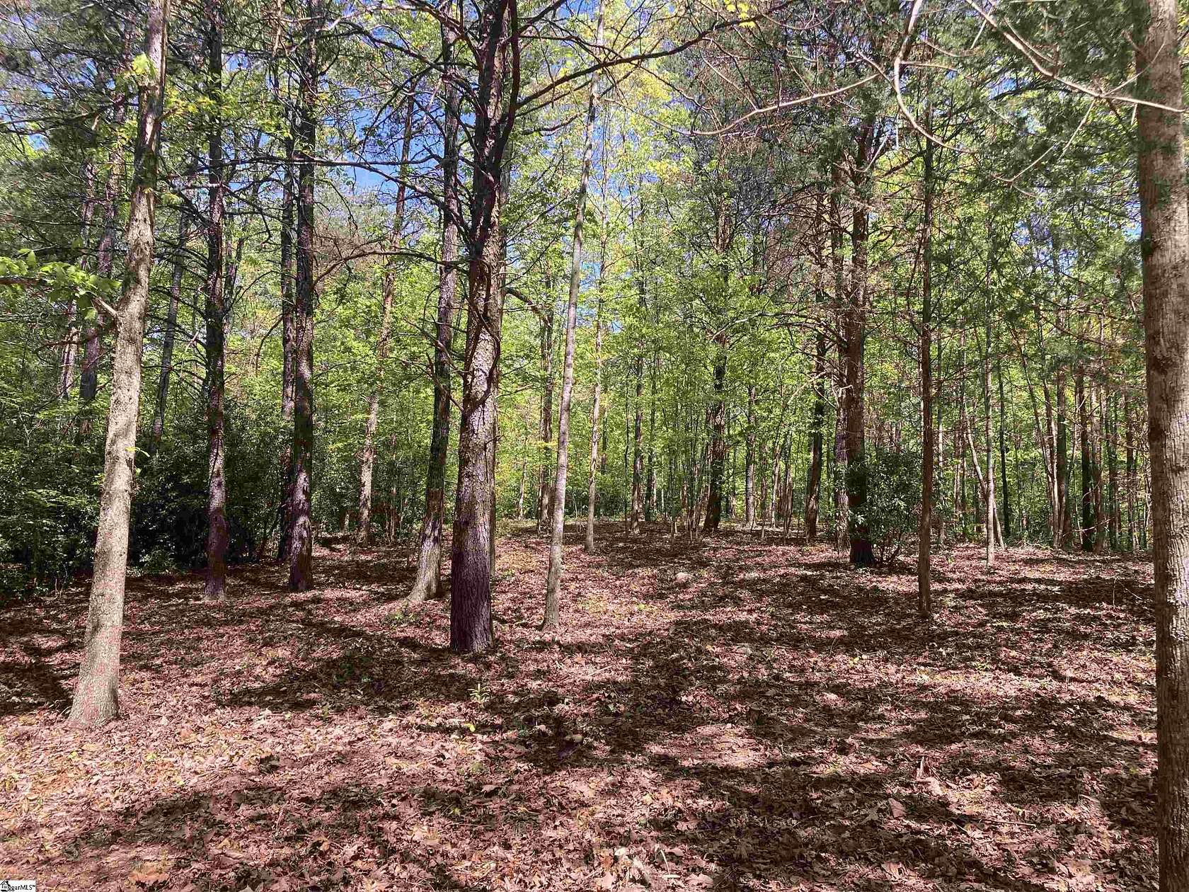 1 Acre of Residential Land for Sale in Marietta, South Carolina