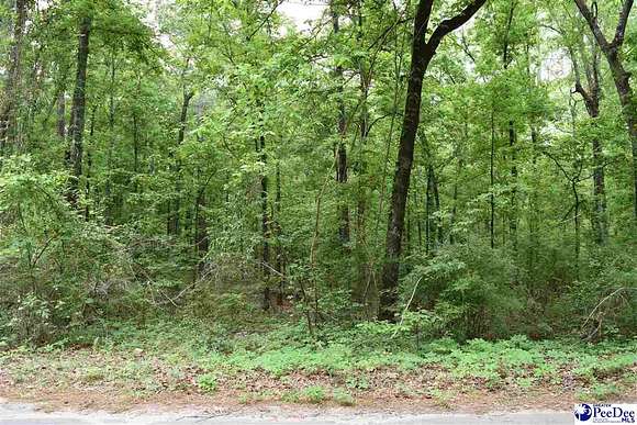 1.6 Acres of Residential Land for Sale in Pamplico, South Carolina
