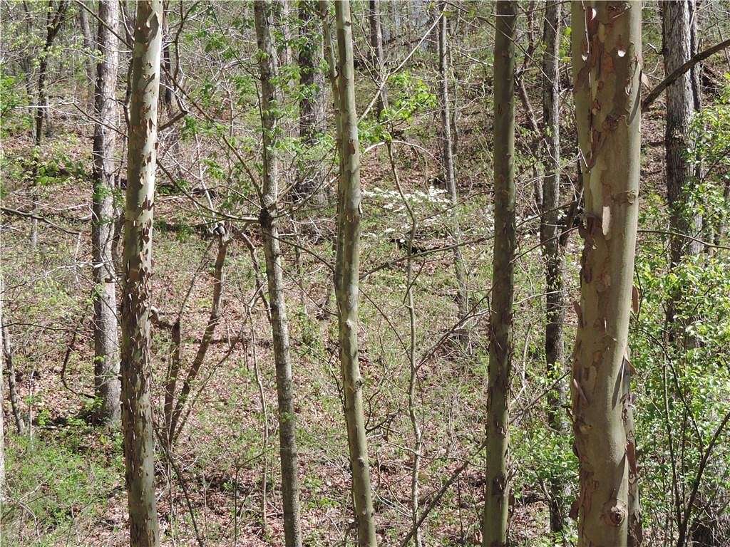 3.2 Acres of Residential Land for Sale in Huntsville, Arkansas