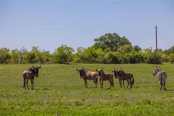 155 Acres of Recreational Land for Sale in Sidney, Texas