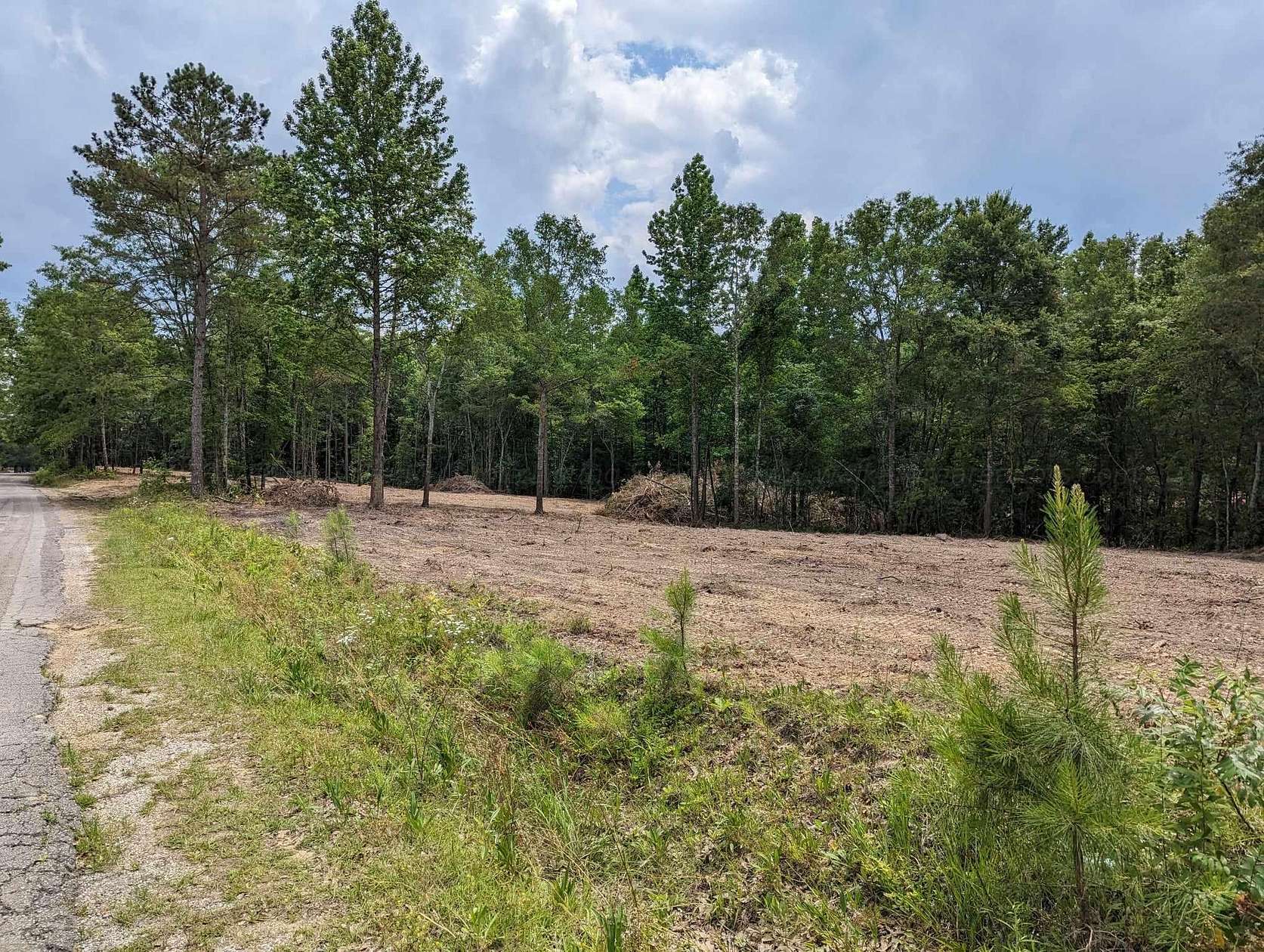 2.6 Acres of Residential Land for Sale in Jasper, Alabama
