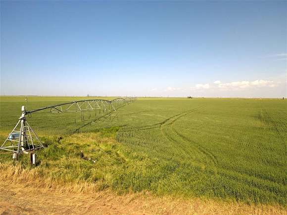 220 Acres of Agricultural Land for Sale in O'Brien, Texas
