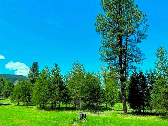 10 Acres of Land for Sale in Trout Creek, Montana