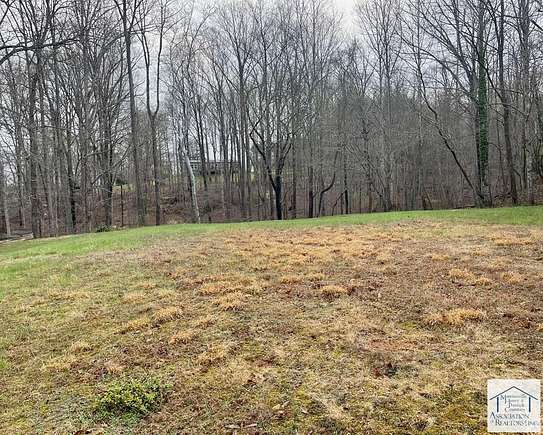 0.8 Acres of Residential Land for Sale in Ridgeway, Virginia