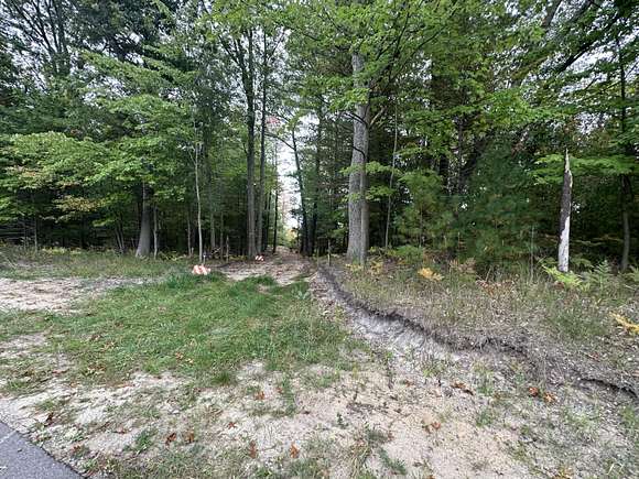 0.22 Acres of Land for Sale in Pentwater, Michigan