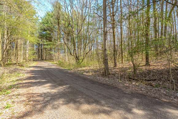 4.7 Acres of Land for Sale in Climax, Michigan