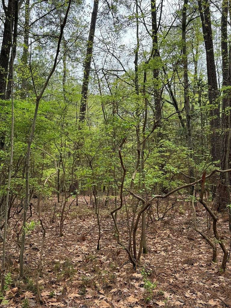 0.16 Acres of Residential Land for Sale in Hague, Virginia