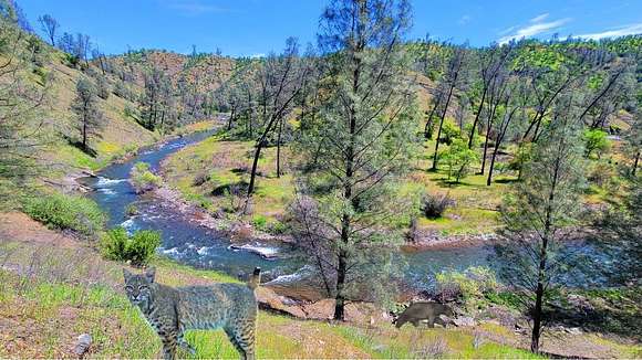 42 Acres of Recreational Land for Sale in Ono, California