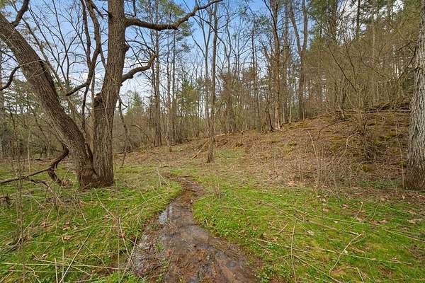 96 Acres of Recreational Land for Sale in Hiwassee, Virginia