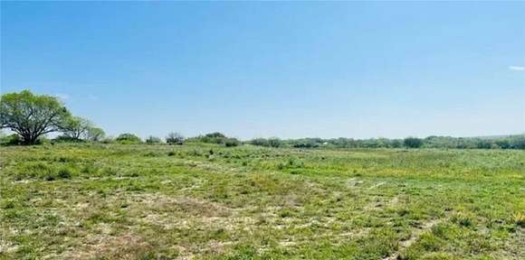 45.6 Acres of Land for Sale in Three Rivers, Texas
