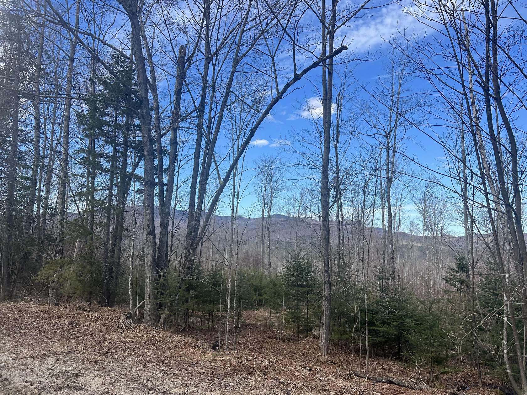 3.6 Acres of Residential Land with Home for Sale in Bethel, Maine