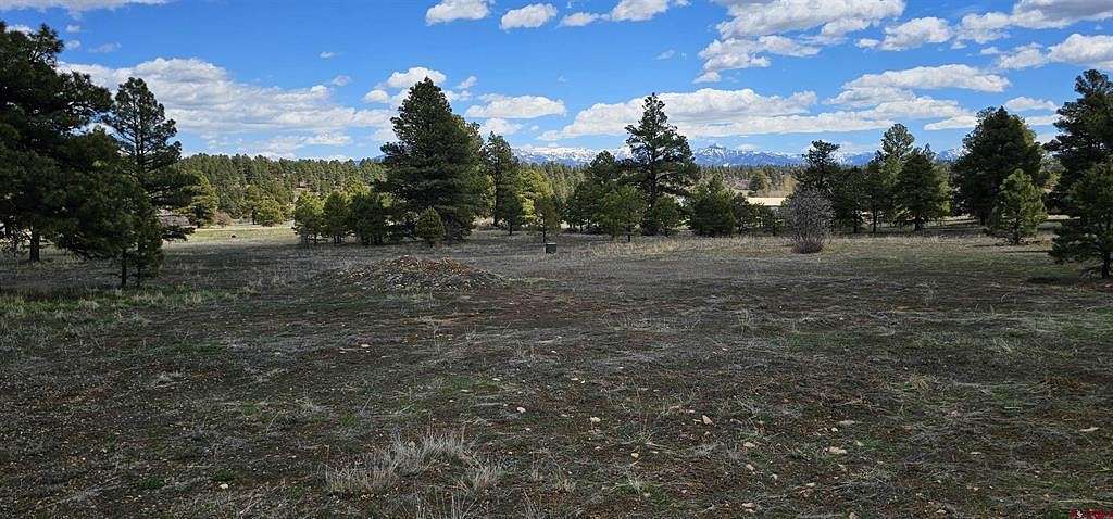 0.3 Acres of Residential Land for Sale in Pagosa Springs, Colorado