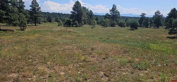 0.3 Acres of Residential Land for Sale in Pagosa Springs, Colorado