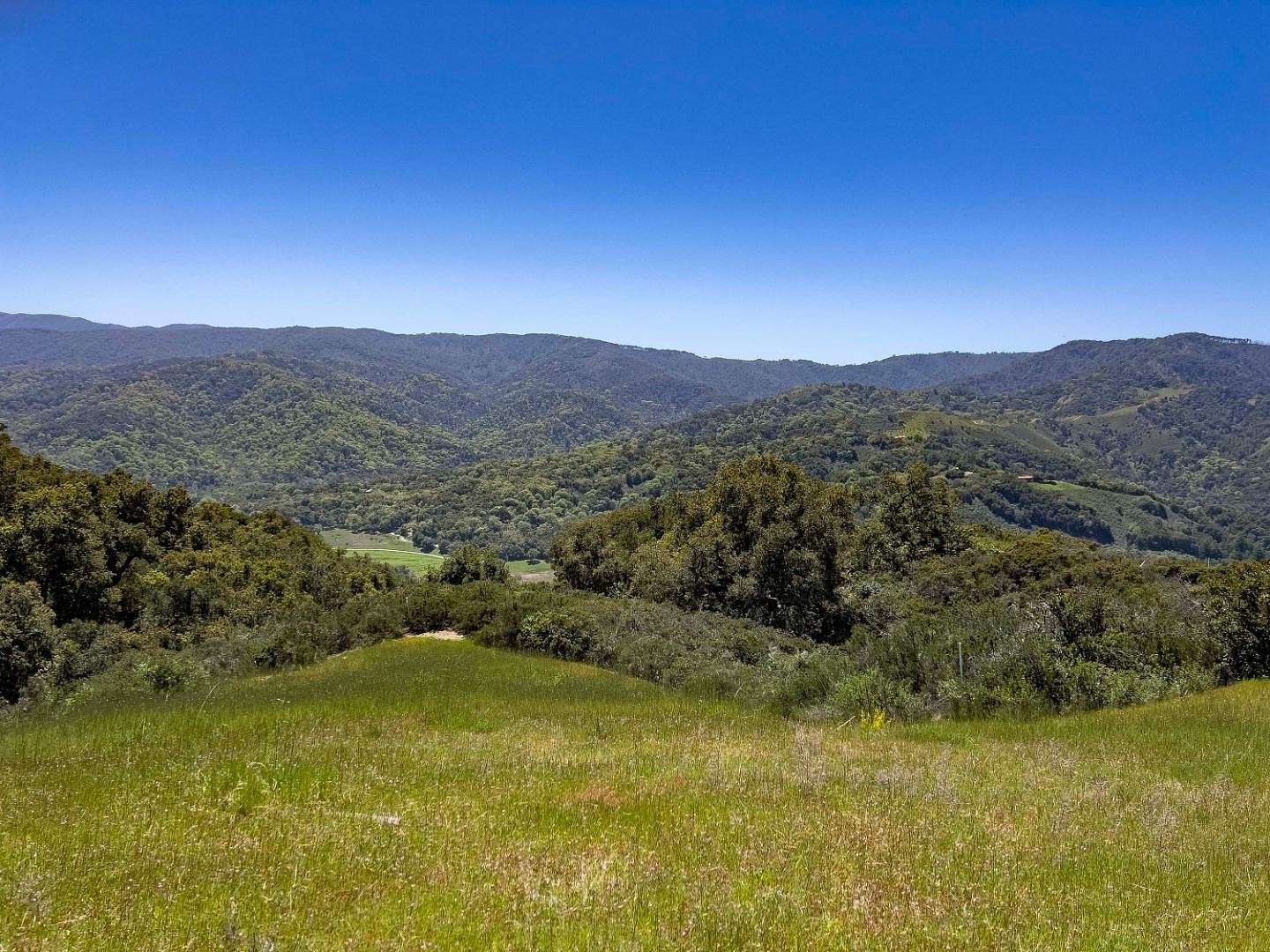 9.9 Acres of Land for Sale in Carmel-by-the-Sea, California