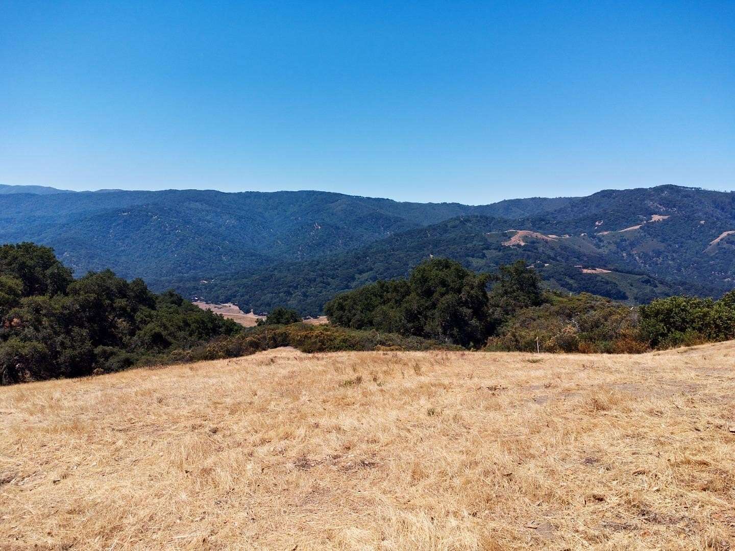 9.9 Acres of Land for Sale in Carmel-by-the-Sea, California