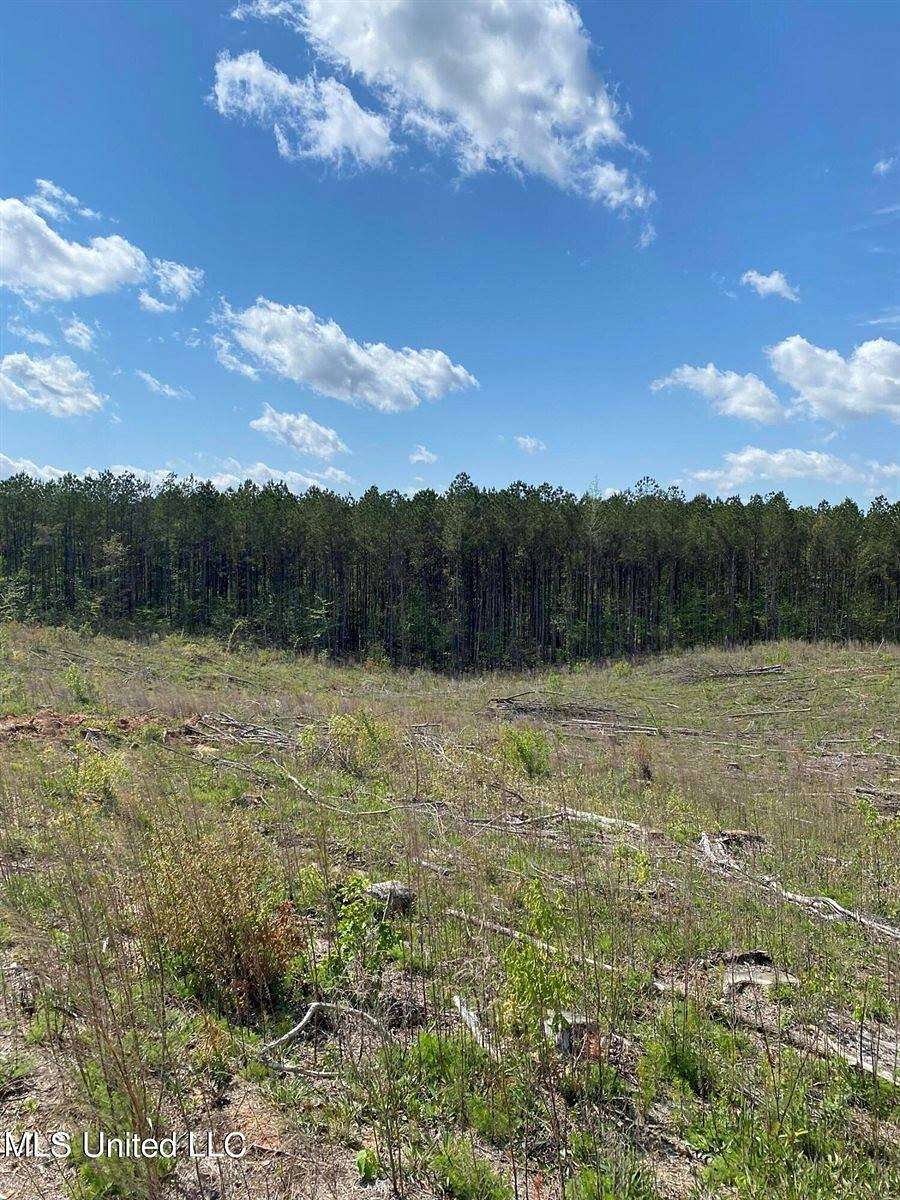 79 Acres of Recreational Land for Sale in Kosciusko, Mississippi