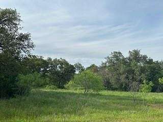 80.5 Acres of Agricultural Land for Sale in Early, Texas