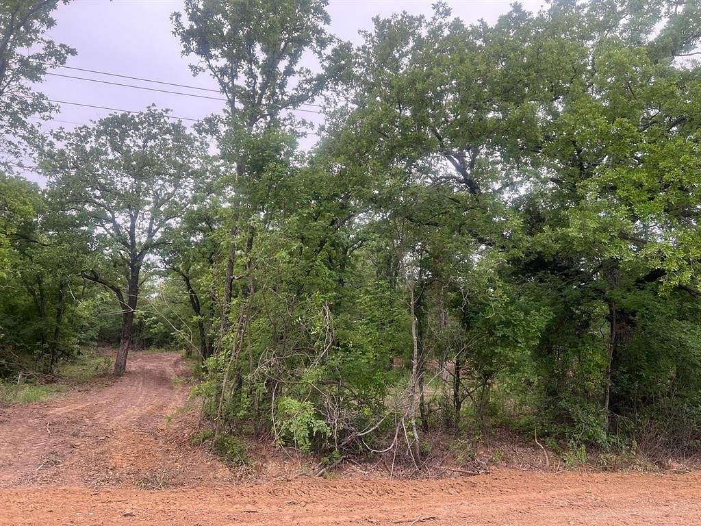 0.14 Acres of Residential Land for Sale in Mineral Wells, Texas