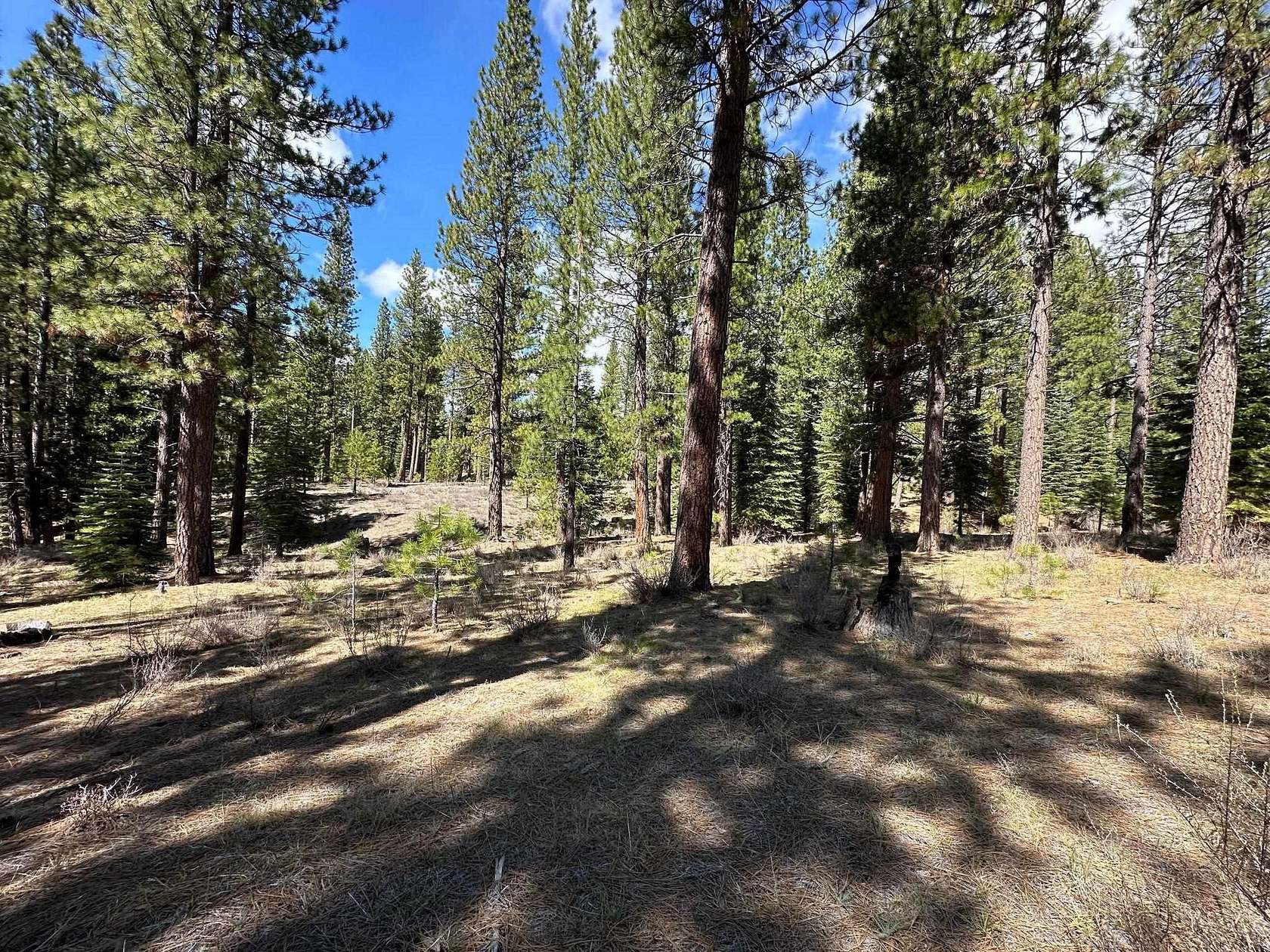 0.57 Acres of Residential Land for Sale in Clio, California