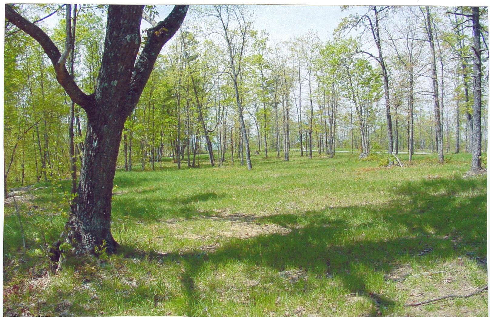 7.6 Acres of Residential Land for Sale in Dunlap, Tennessee
