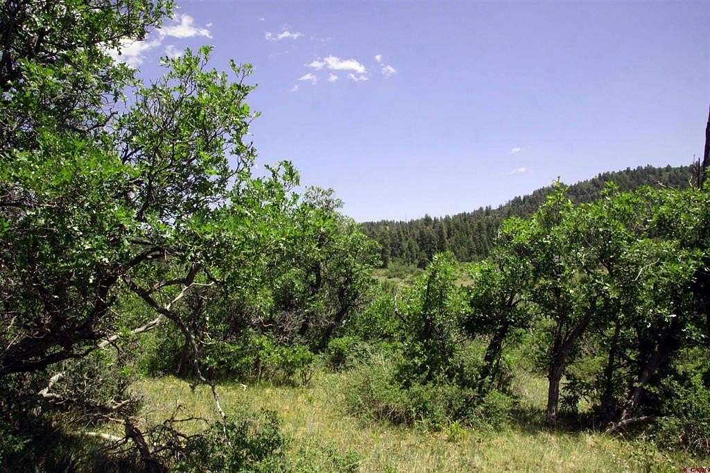 0.44 Acres of Residential Land for Sale in Pagosa Springs, Colorado