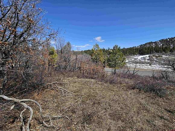 0.44 Acres of Residential Land for Sale in Pagosa Springs, Colorado