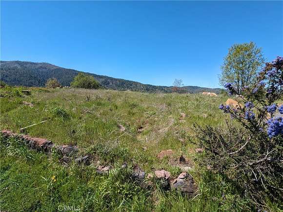 0.25 Acres of Residential Land for Sale in Cobb, California