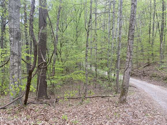 0.59 Acres of Residential Land for Sale in Maynardville, Tennessee