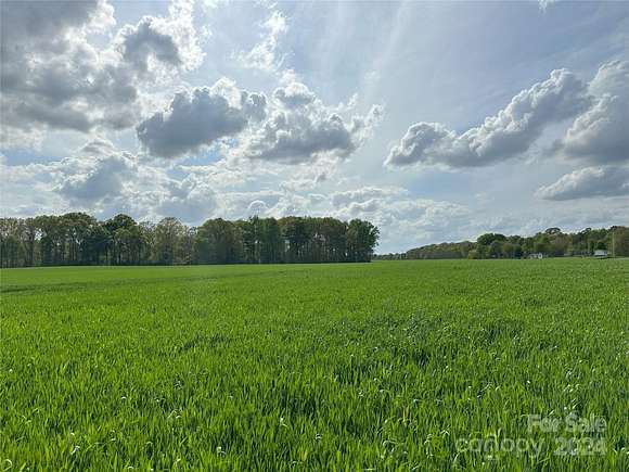 64 Acres of Agricultural Land for Sale in Marshville, North Carolina
