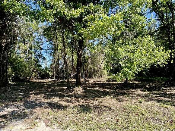 0.72 Acres of Residential Land for Sale in Wewahitchka, Florida