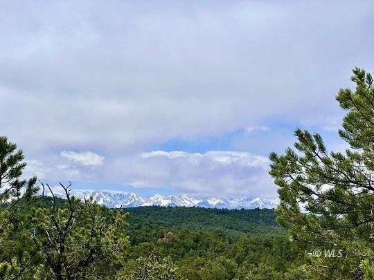 35.2 Acres of Land for Sale in Cotopaxi, Colorado
