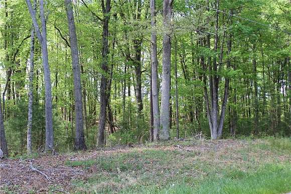 4.3 Acres of Residential Land for Sale in State Road, North Carolina