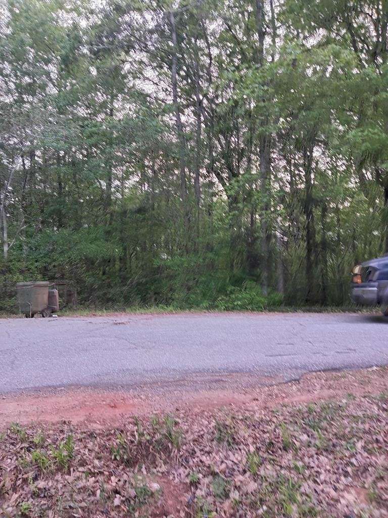 1.2 Acres of Residential Land for Sale in Shiloh, Georgia