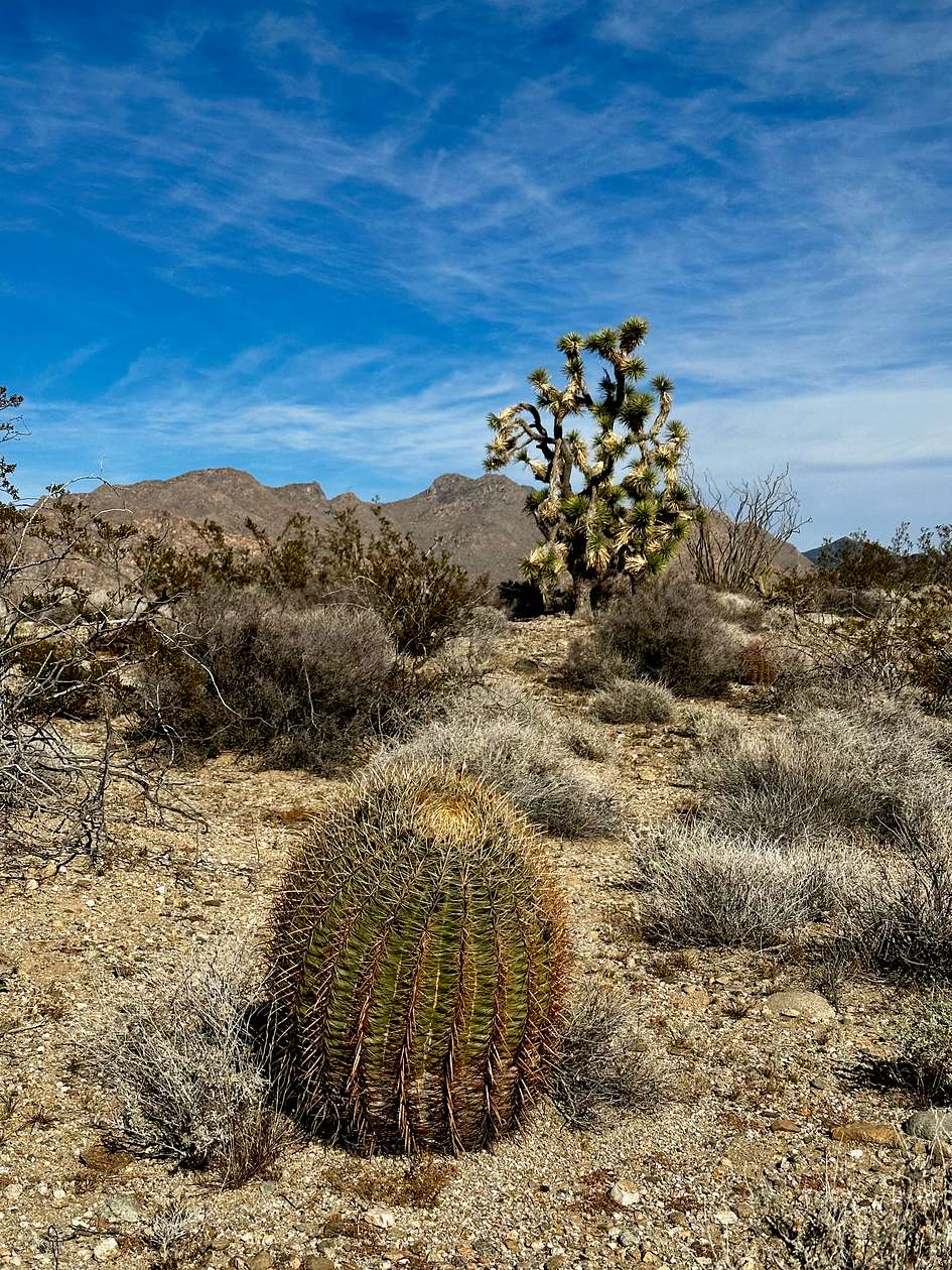 2.1 Acres of Residential Land for Sale in Yucca, Arizona