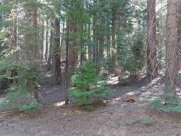 0.36 Acres of Residential Land for Sale in Canyondam, California