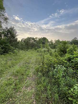 11 Acres of Land for Sale in Broaddus, Texas