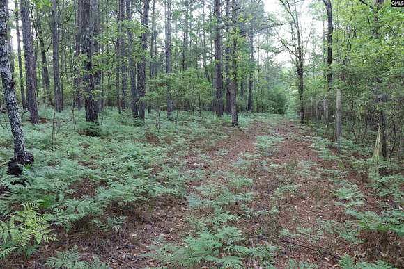 3.7 Acres of Land for Sale in Wagener, South Carolina