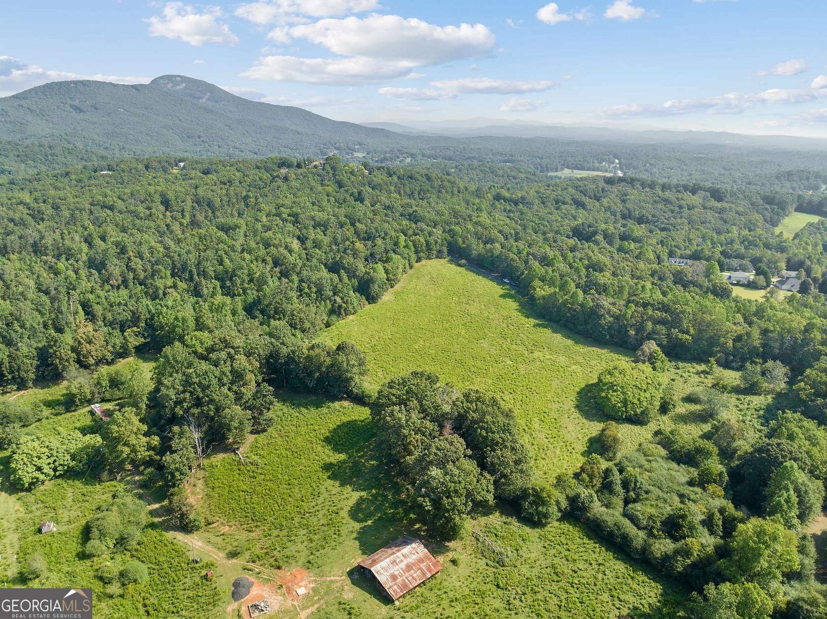 30 Acres of Agricultural Land for Sale in Cleveland, Georgia