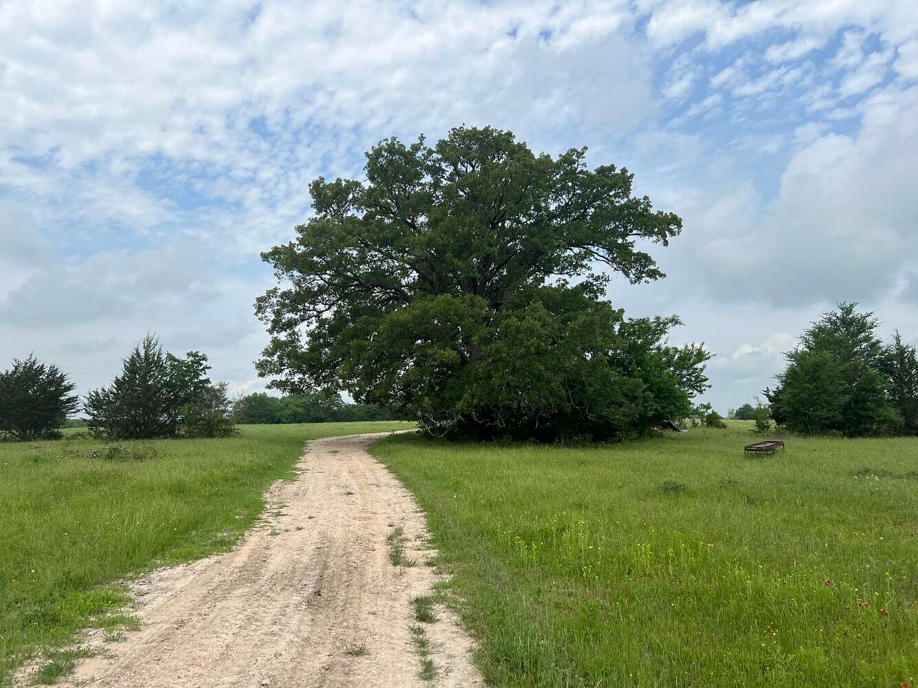 50.72 Acres of Agricultural Land for Sale in Anderson, Texas