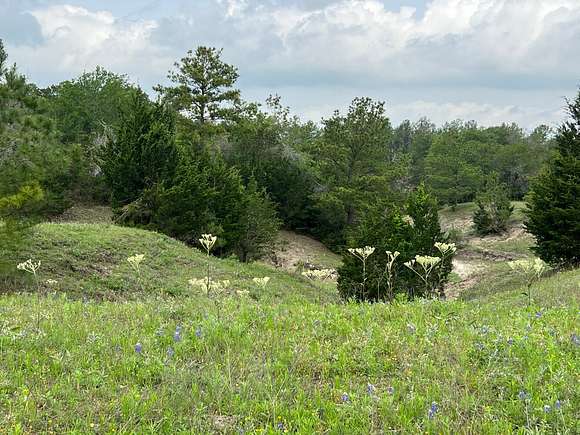 50.7 Acres of Recreational Land for Sale in Anderson, Texas