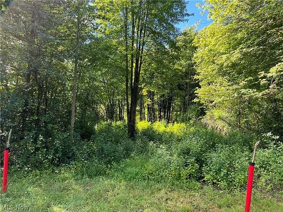 0.41 Acres of Residential Land for Sale in Roaming Shores, Ohio