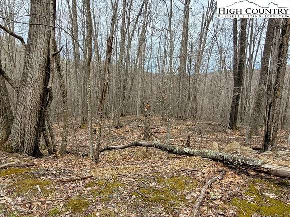 0.48 Acres of Land for Sale in Beech Mountain, North Carolina