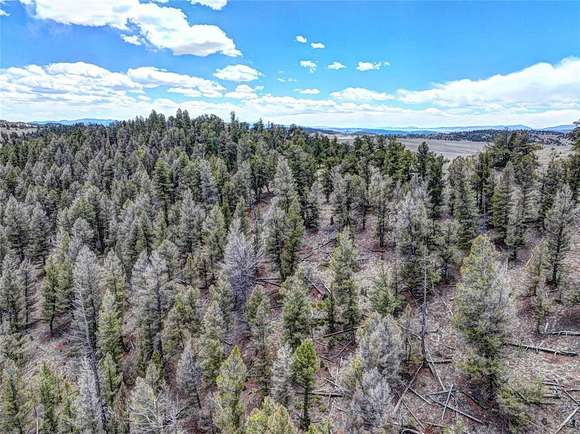 10 Acres of Land for Sale in Hartsel, Colorado