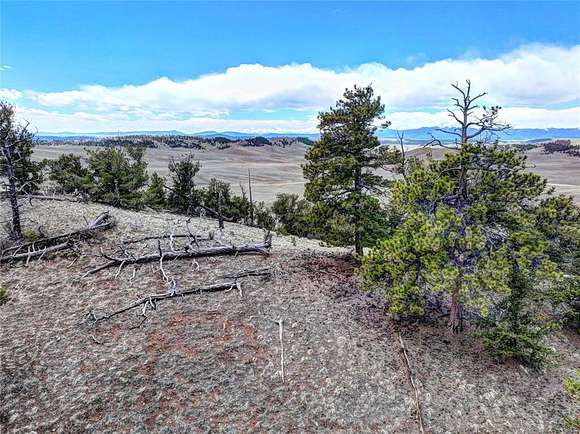 10 Acres of Recreational Land for Sale in Hartsel, Colorado