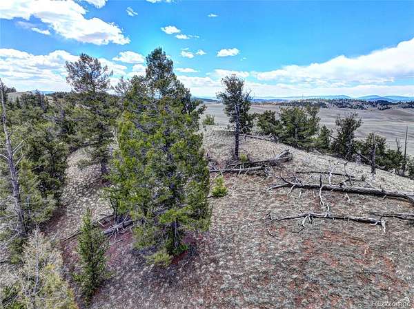 10 Acres of Recreational & Residential Land for Sale in Hartsel, Colorado